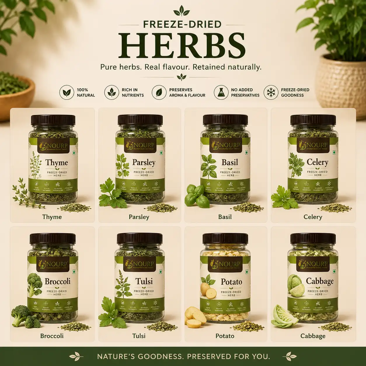 Freeze-Dried Herbs